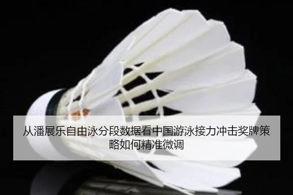 从潘展乐自由泳分段数据看中国游泳接力冲击奖牌策略如何精准微调