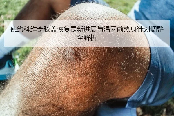 德约科维奇膝盖恢复最新进展与温网前热身计划调整全解析